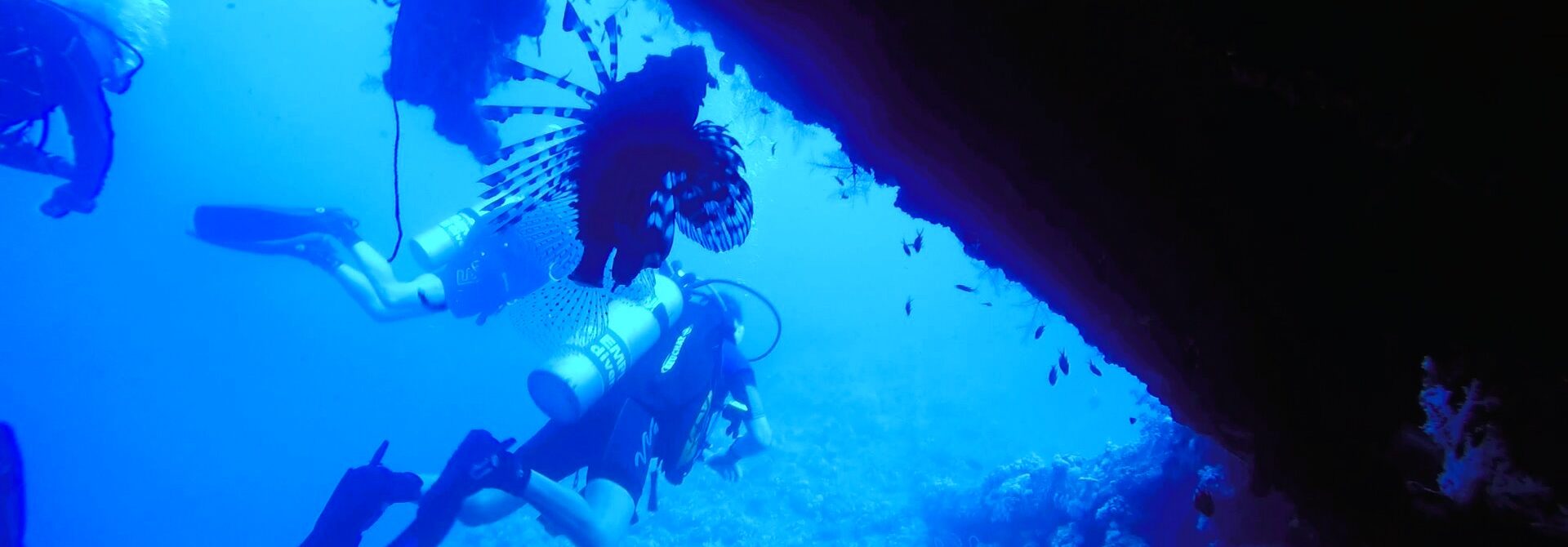 can i dive with edit can i dive with edit