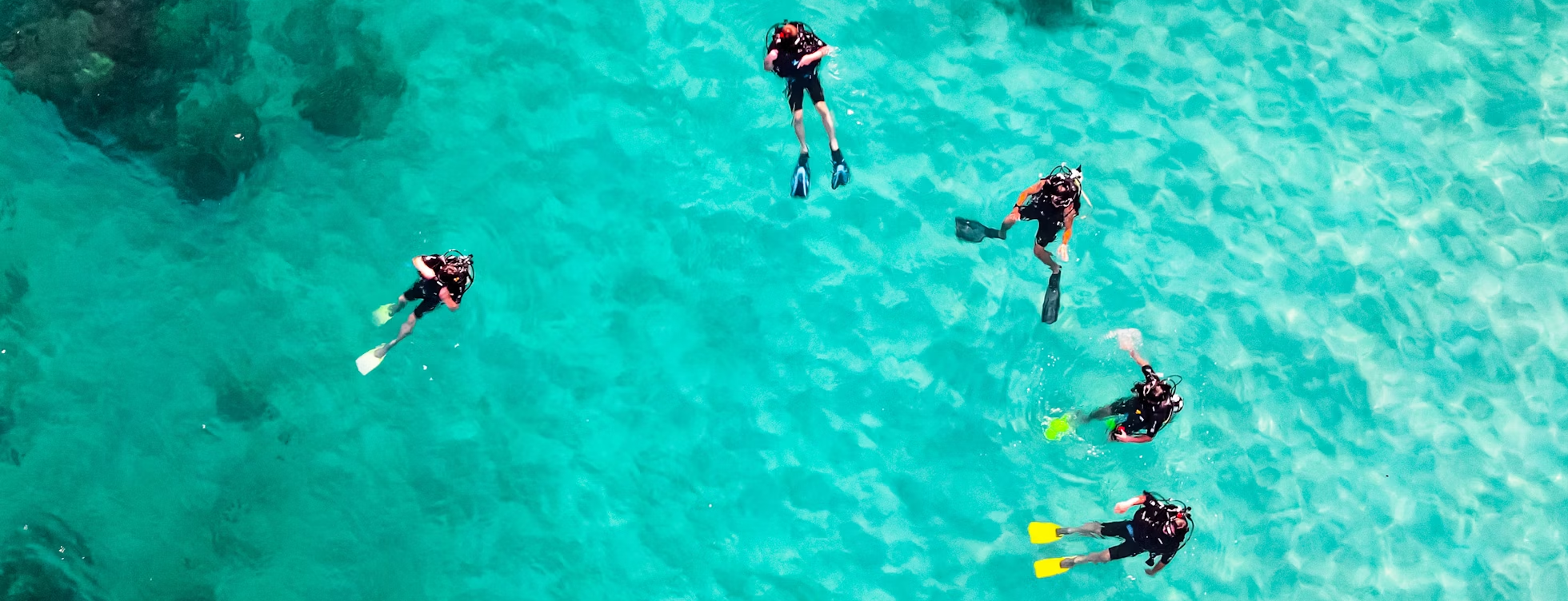divers divers