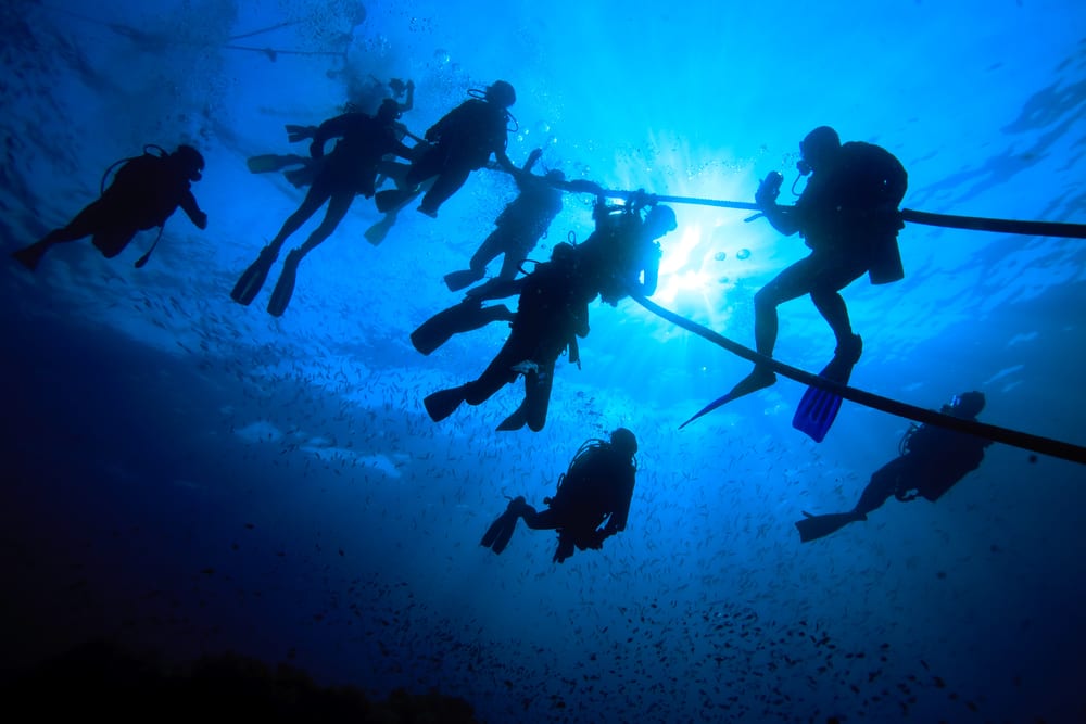 Group of divers doing a safety stop