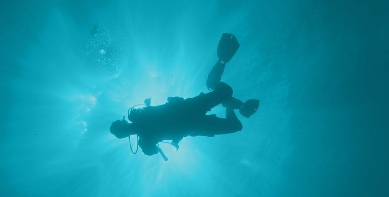 DDRC diver swimming