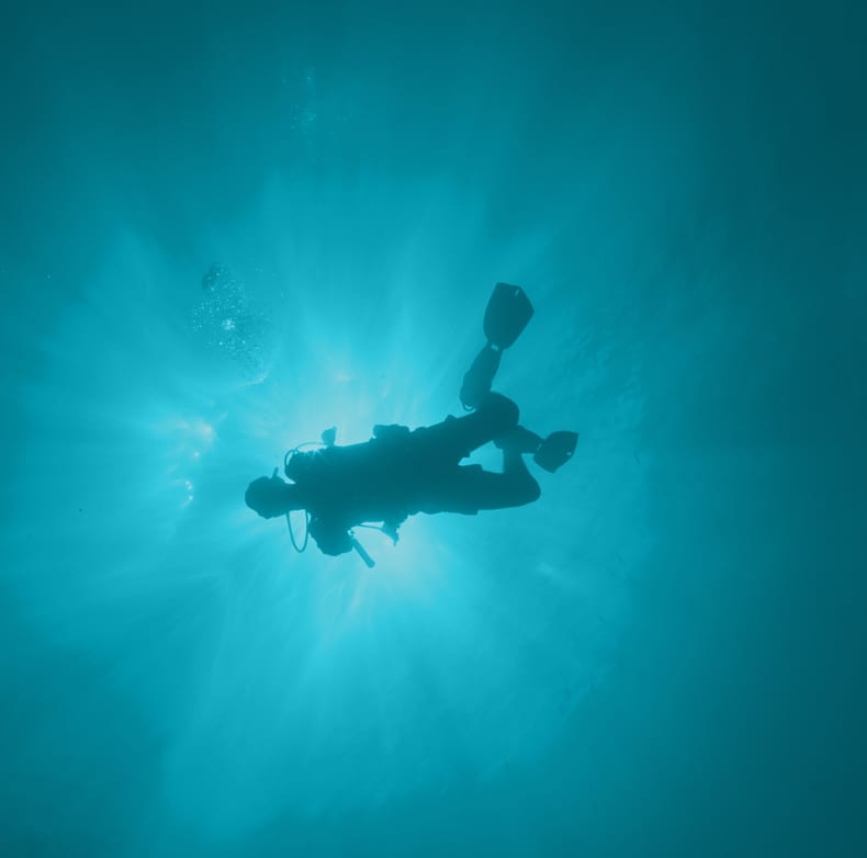 DDRC diver swimming