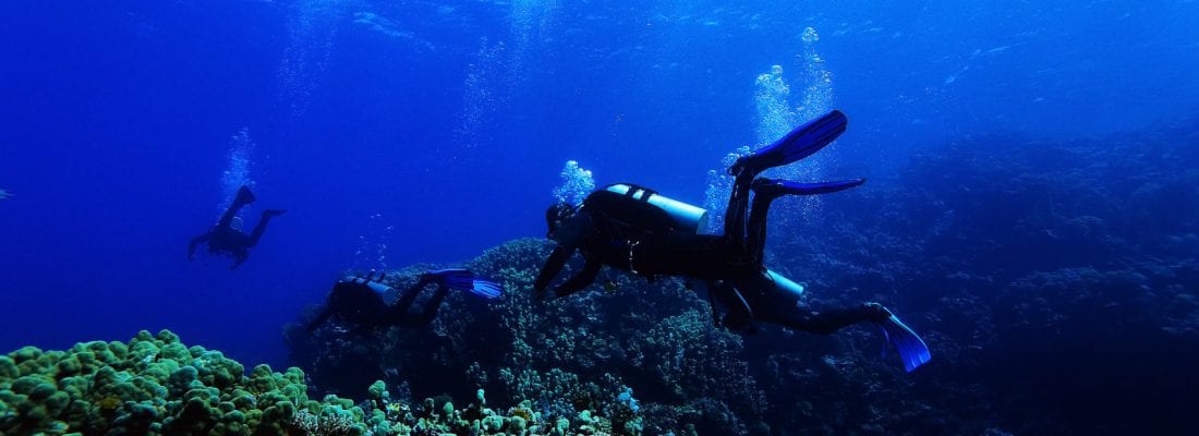 Diver explores underwater
