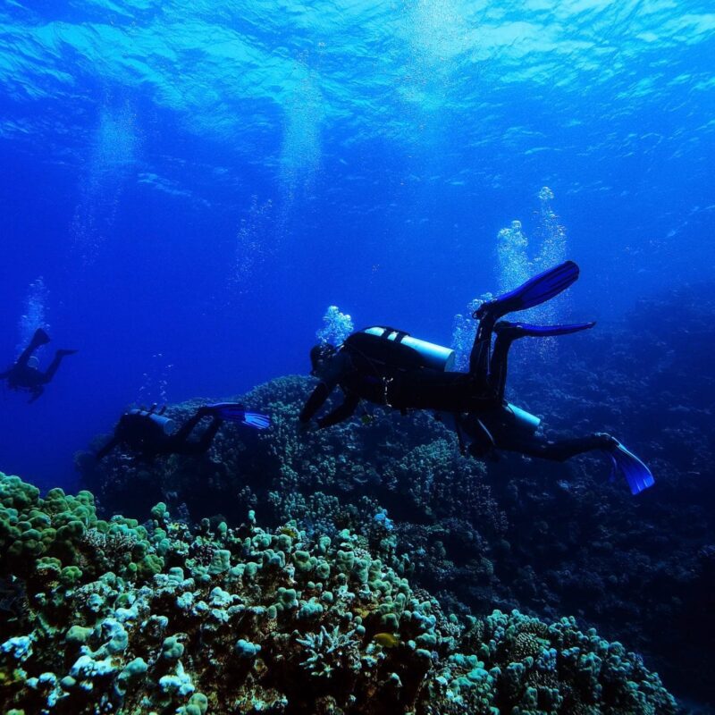 Diver explores underwater