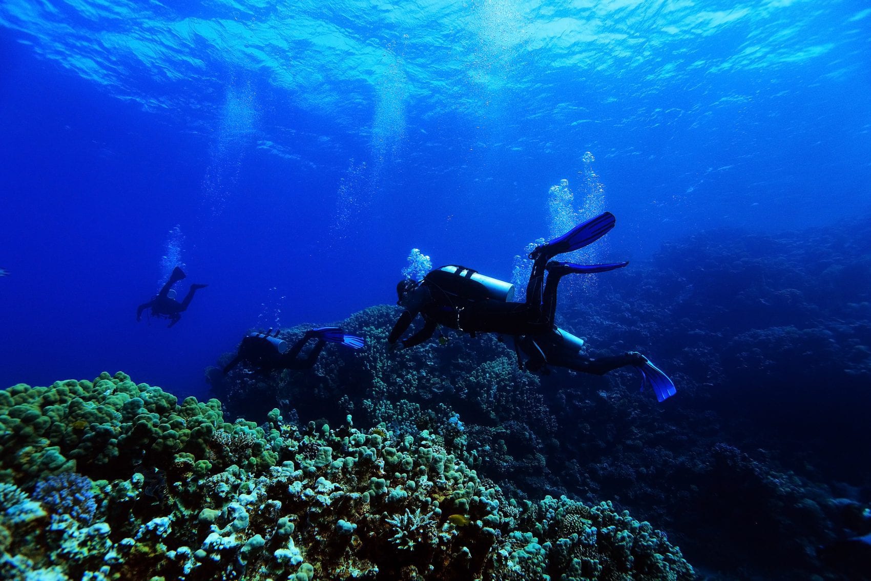 Diver explores underwater